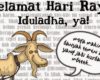 Kumpulan Kata-kata Idul Adha Kalimat Ucapan Selamat Hari Raya Qurban Terbaru
