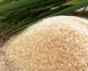 harga beras di Indonesia Bulan ini