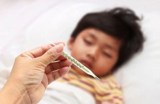 Cara Pengobatan Demam Berdarah Pada Anak Secara Efektif