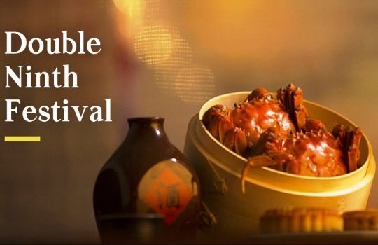 Best Ideas to Celebrate the Double Ninth Festival in China