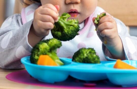 Makanan yang Baik untuk Kecerdasan Otak Anak