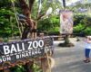 Rekomendasi Kebun Binatang di Bali untuk Wisata Bersama Keluarga